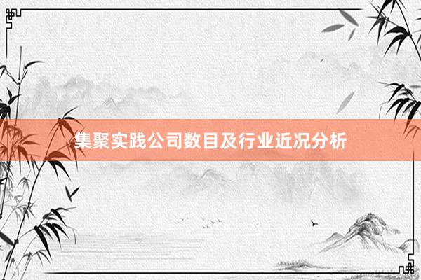 集聚实践公司数目及行业近况分析