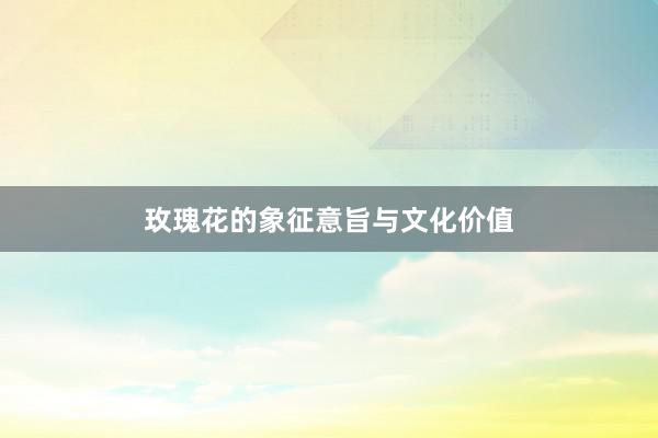 玫瑰花的象征意旨与文化价值