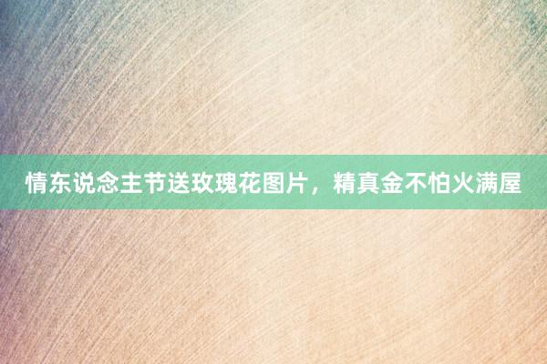 情东说念主节送玫瑰花图片，精真金不怕火满屋