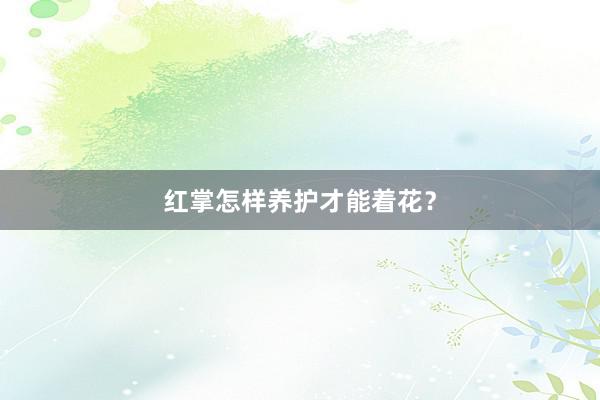 红掌怎样养护才能着花？