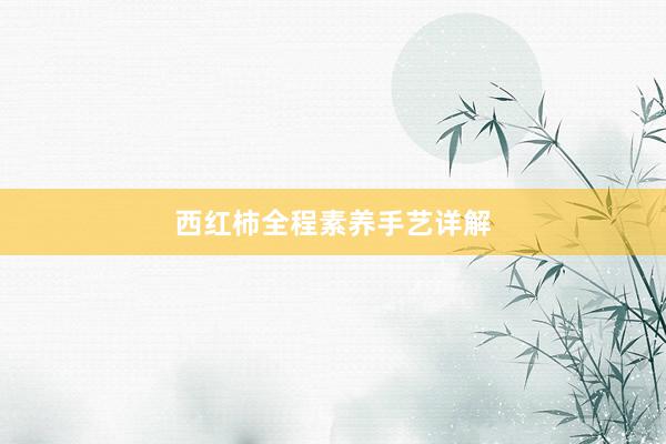 西红柿全程素养手艺详解